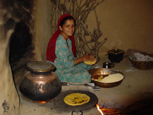 North India, Himalayas and Shimla toy train tour