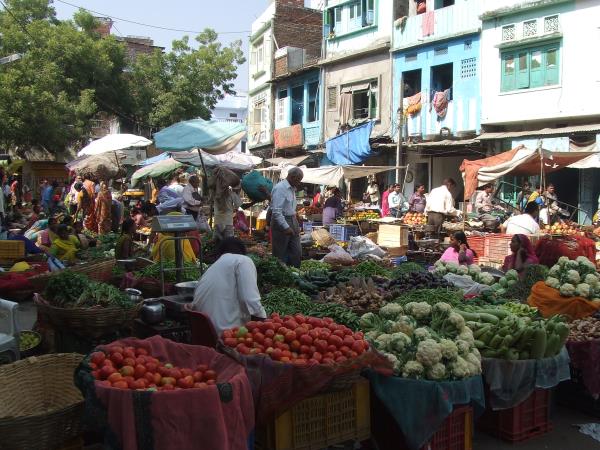North India, Himalayas and Shimla toy train tour