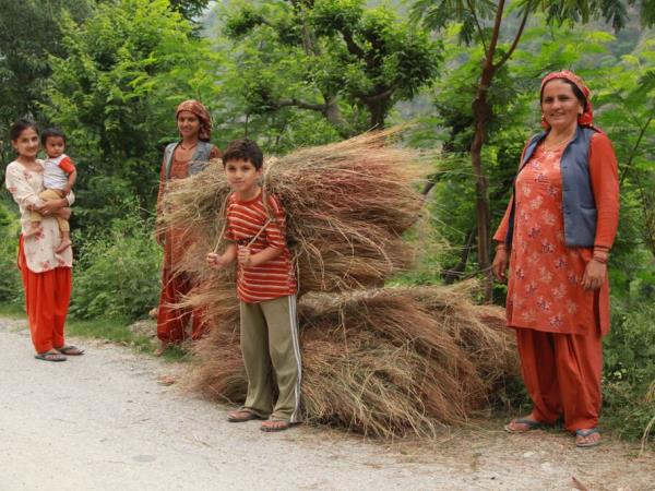 North India, Himalayas and Shimla toy train tour