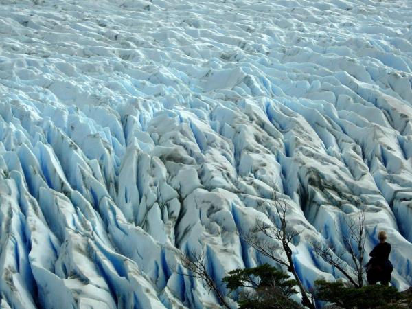 Antarctic cruise and hiking in Chile