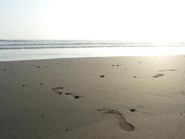 Costa Rica and Nicaragua self drive holiday