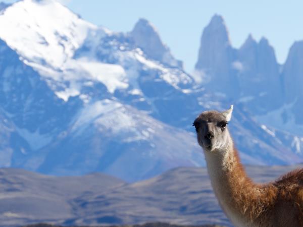 Atacama and Patagonia hiking holiday