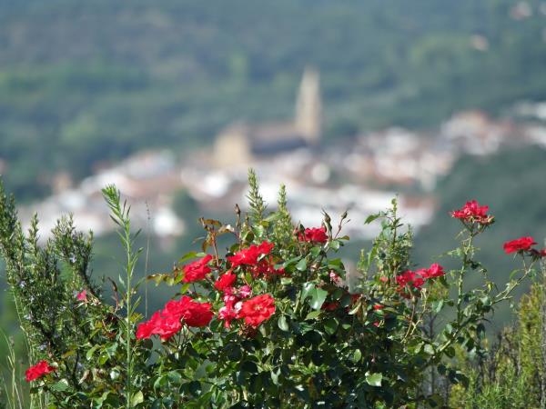 Aracena Hills walking holiday in Andalucia, Spain