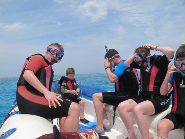 Swim with dolphins in Egypt