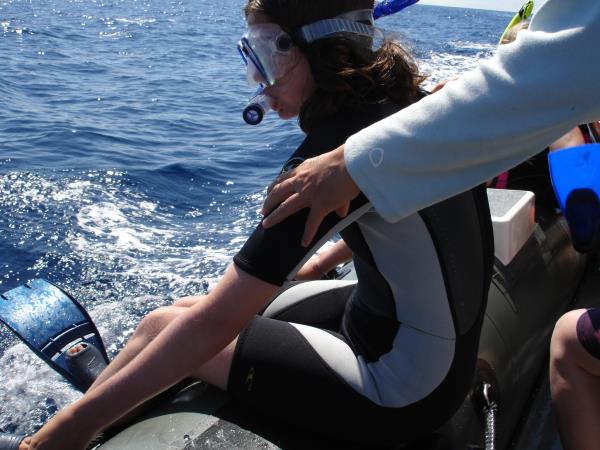 Family swimming with dolphins in the Azores
