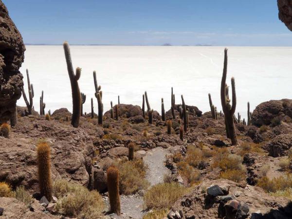 Bolivia tour, tour the highlights of Bolivia