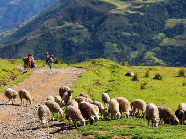 Bolivia tour, tour the highlights of Bolivia