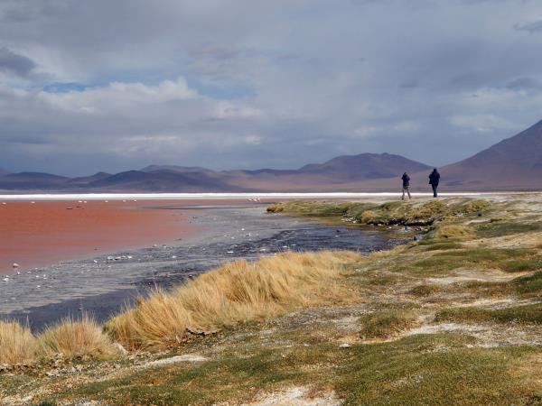 Bolivia tour, tour the highlights of Bolivia