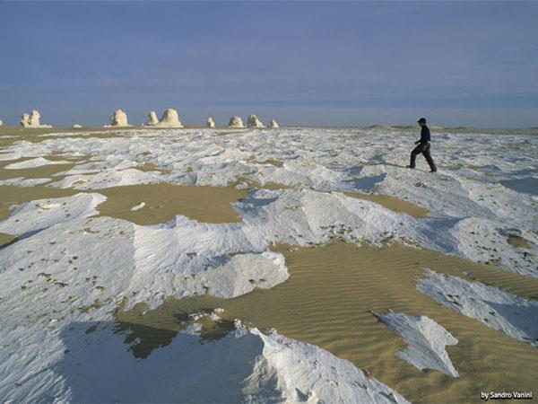 Egypt desert and culture tour