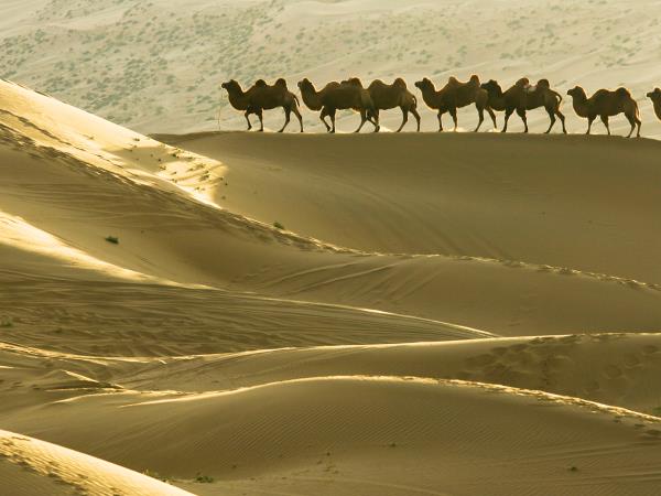 Silk Road in China holiday