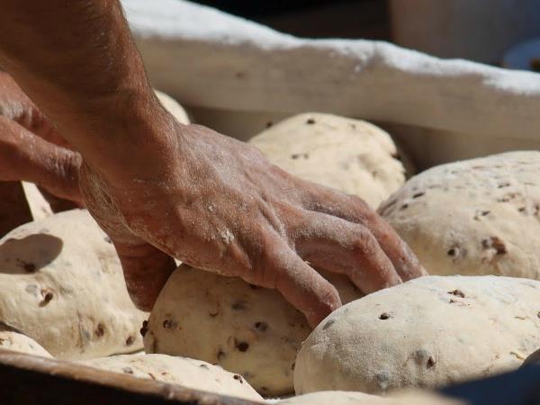 Cooking and walking holiday, Spanish Pyrenees