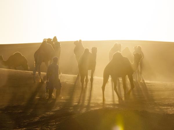 Morocco photography holiday