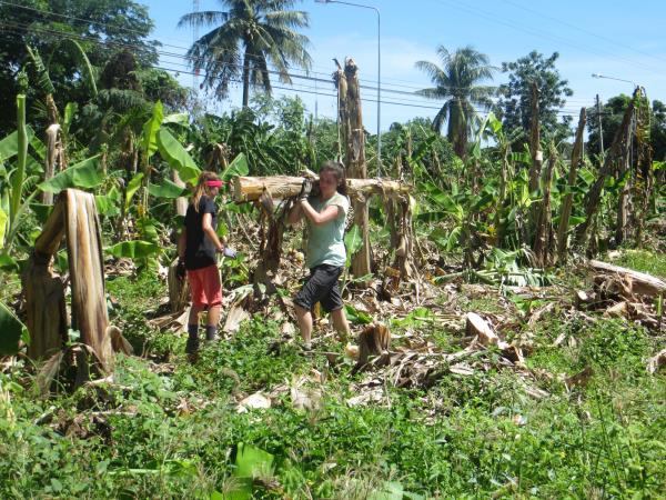 Wildlife rescue volunteering in Thailand, under 18s