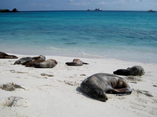 Galapagos holiday cruise options