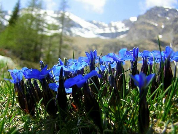 Wildlife and walking holiday in the Spanish Pyrenees