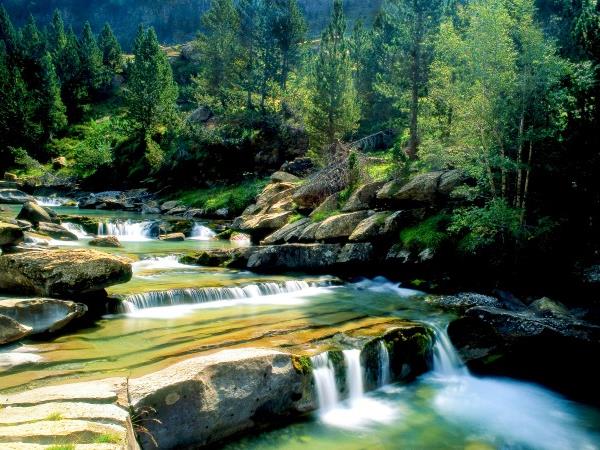Wildlife and walking holiday in the Spanish Pyrenees
