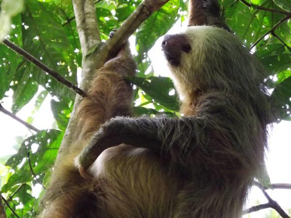 Costa Rica highlights holiday & beach