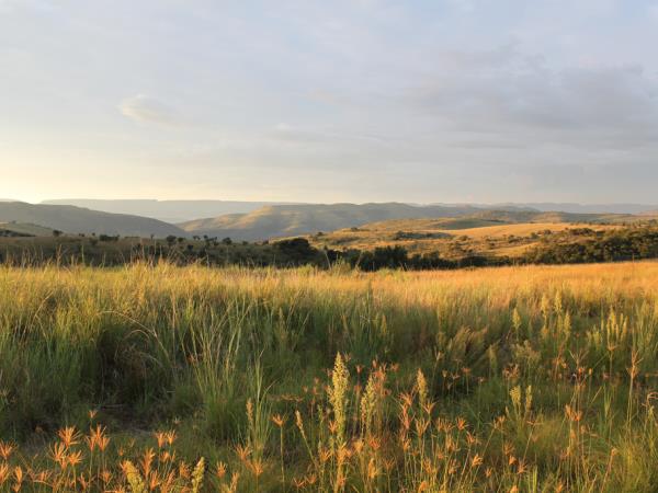South Africa archaeology tour