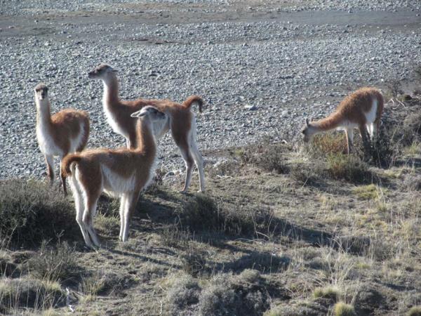 Patagonia luxury adventure holiday