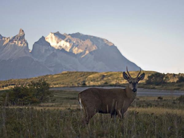 Patagonia luxury adventure holiday