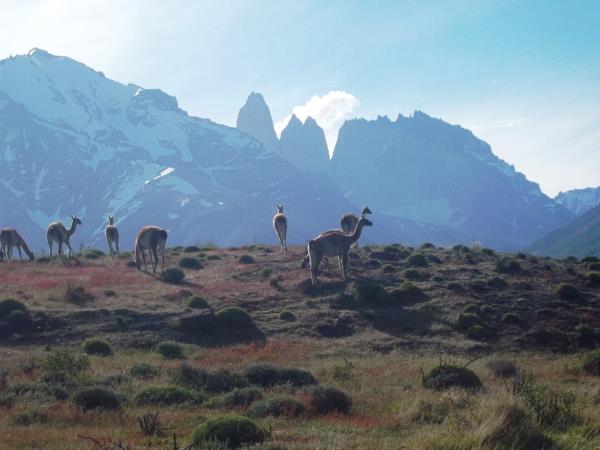 Patagonian photography tour