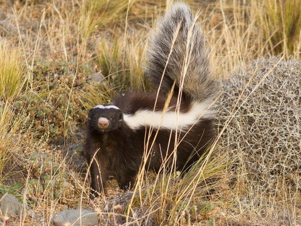 Patagonian photography tour