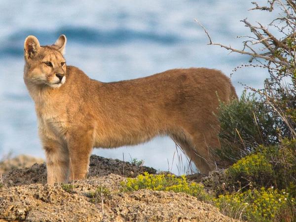 Patagonian photography tour
