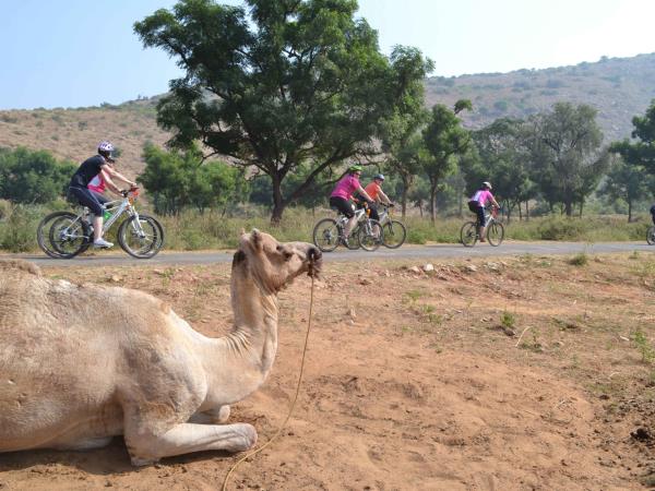 Rajasthan cycling tour