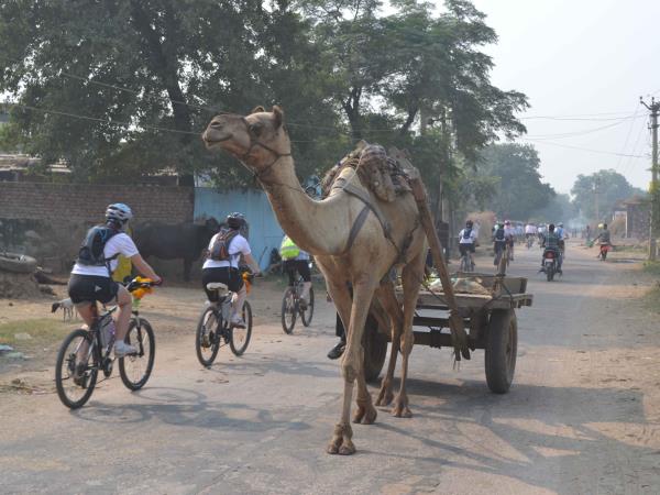 Rajasthan cycling tour