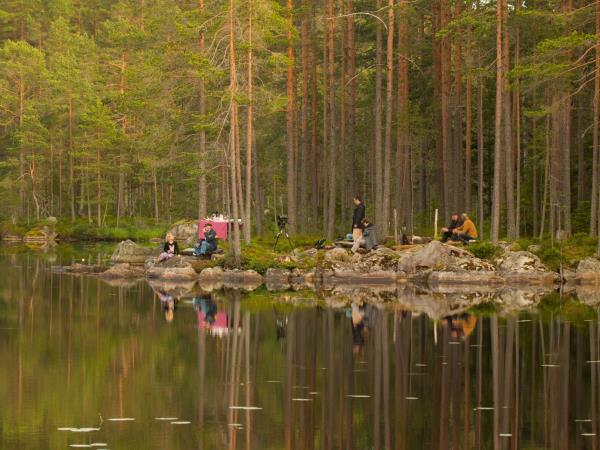 Sweden holidays, Wolves, Moose and Beavers