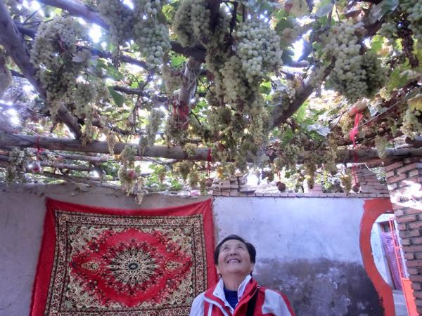 Silk Road tailor made holiday