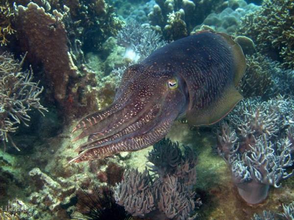 Vietnam diving & mountain biking adventure holiday