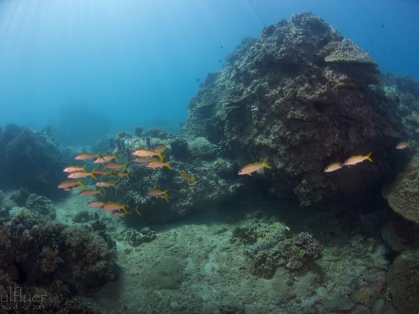 Vietnam diving & mountain biking adventure holiday
