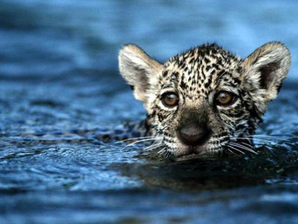 Guyana nature experience, small group holiday