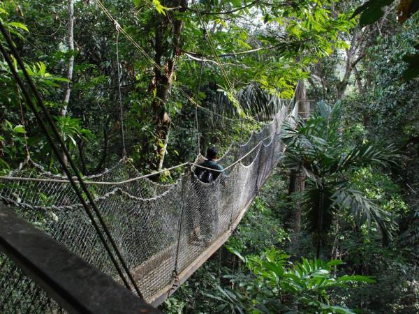Guyana & Suriname wildlife small group holiday