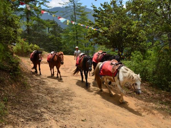 Bhutan cultural holiday