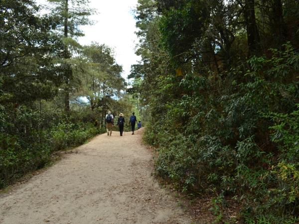Bhutan walking tour