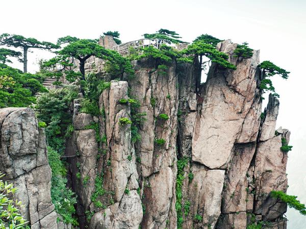 China tailor made tour