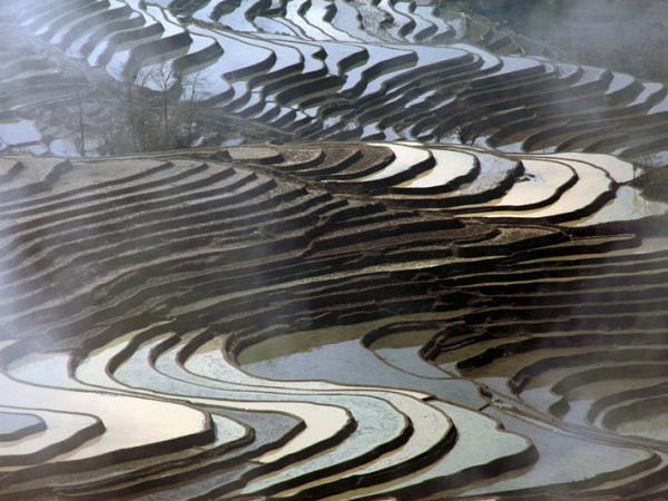 Photography holiday in Tibet & Yunnan, China