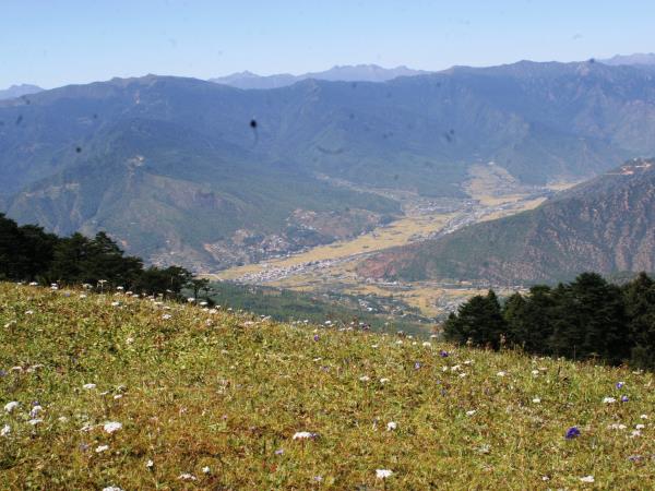 Western Bhutan walking holiday