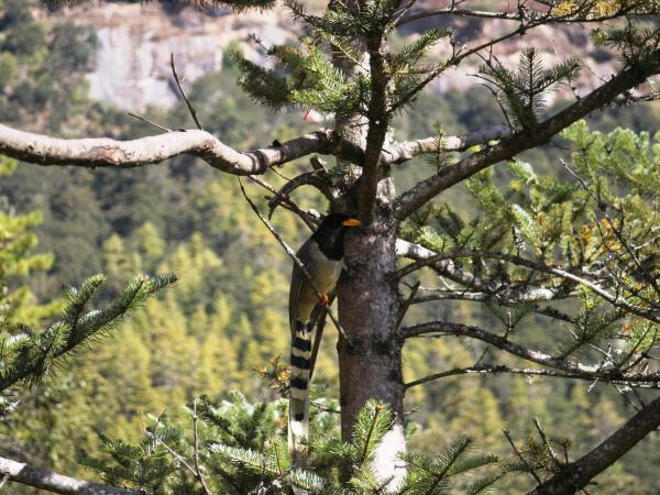 Bhutan multi activity holiday