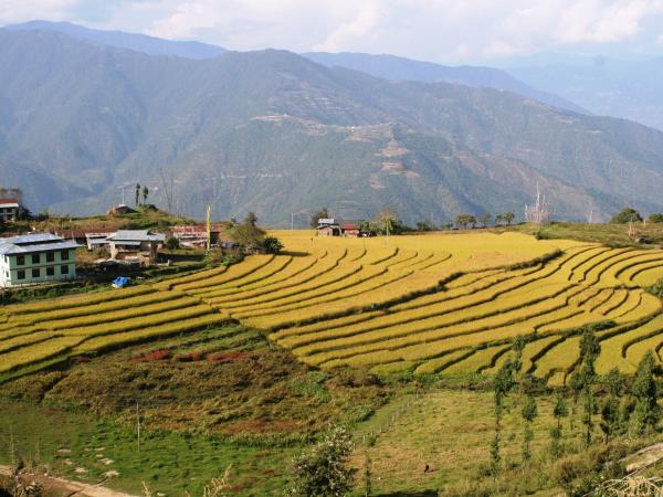 Western Bhutan walking holiday