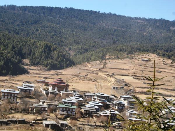 Bhutan culture & home stay tour