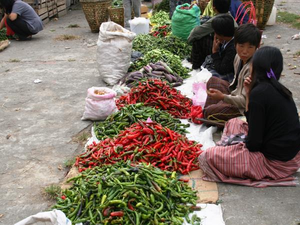 Bhutan culture & home stay tour