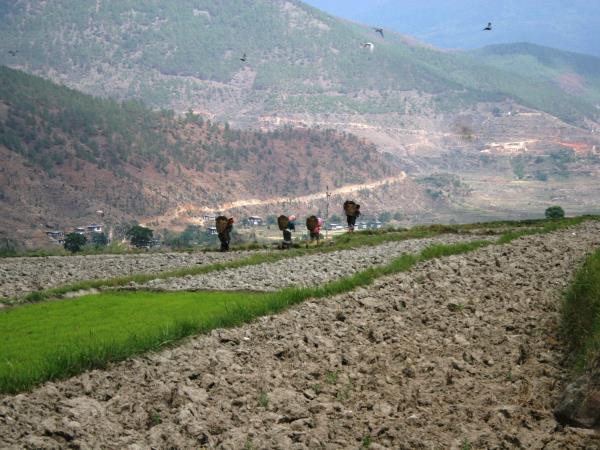 Bhutan culture & home stay tour