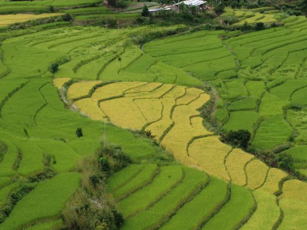 Bhutan culture & home stay tour