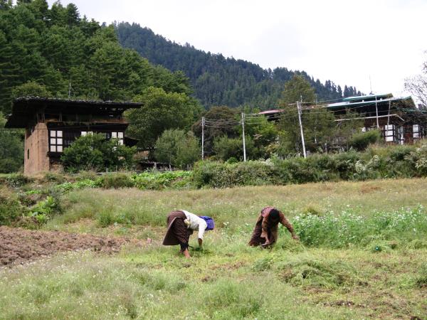 Bhutan culture & home stay tour