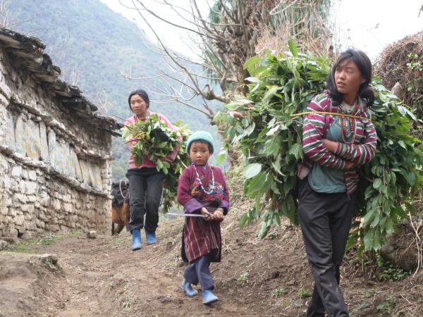 Bhutan culture & home stay tour
