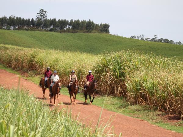Horse riding safari in Uganda