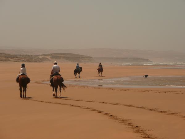 Morocco horse riding holiday, beach ride